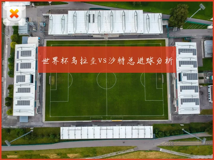 世界杯乌拉圭vs沙特总进球分析